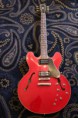 /album/es-335/img-4020-jpg1/