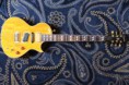 /album/epiphone-nighthawk/img-3966-jpg/